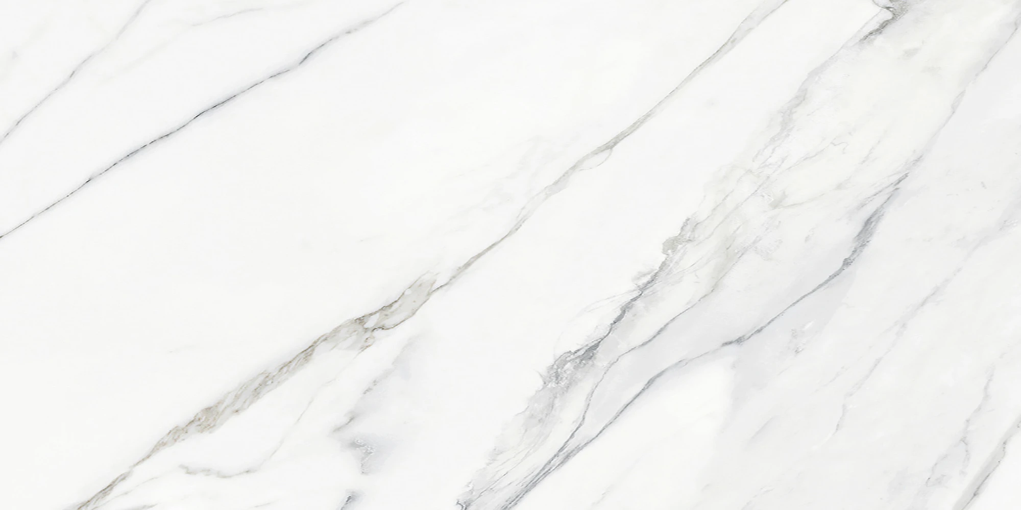 Calacatta Infinity White