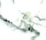 Eternal Beauty White