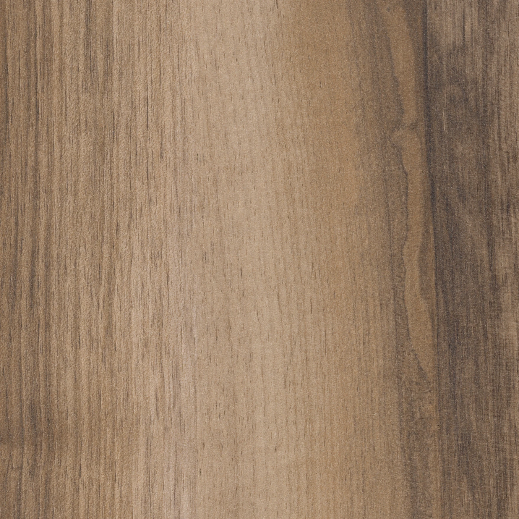 Megaloc Click System