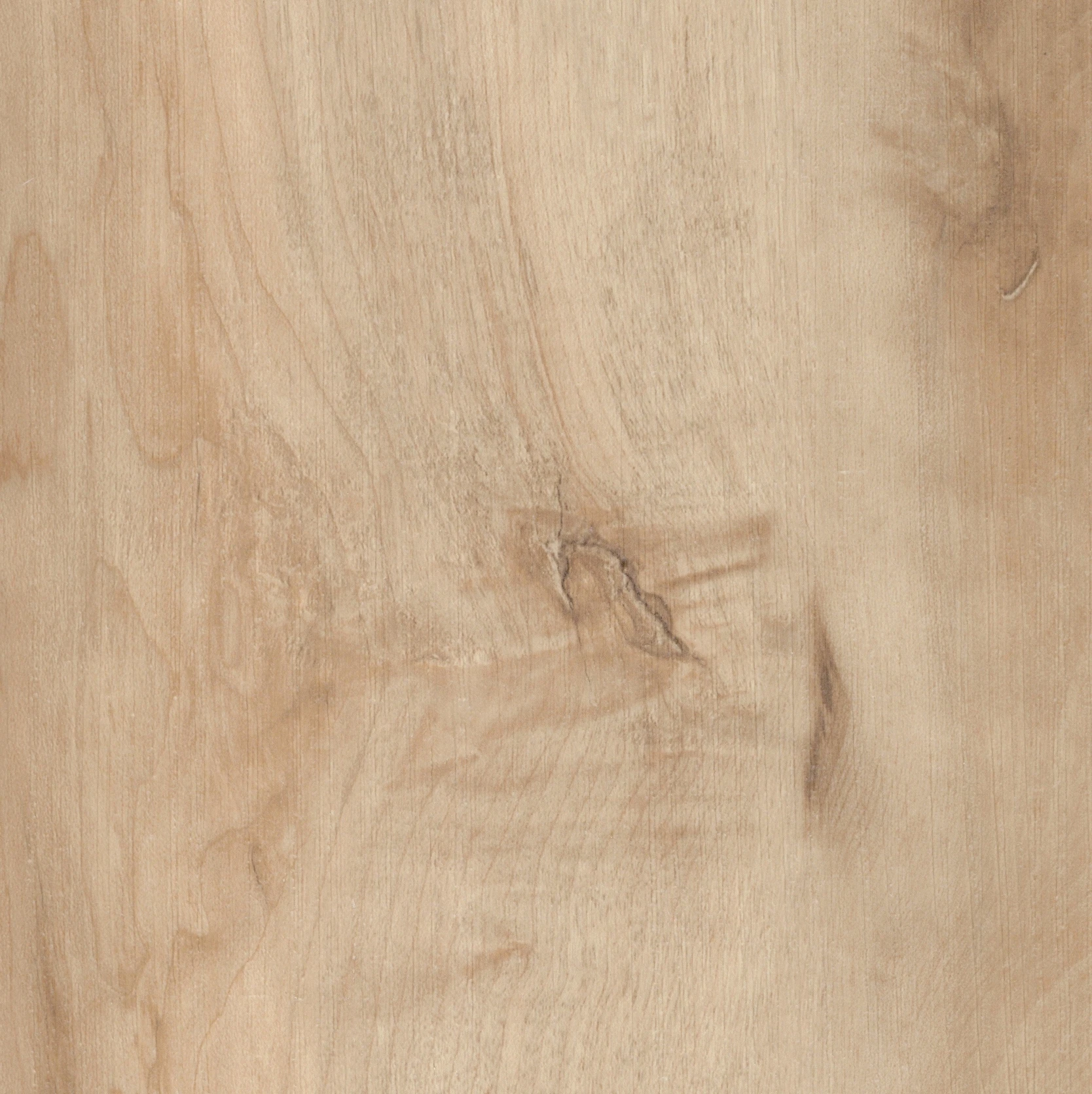 Megaloc Click System