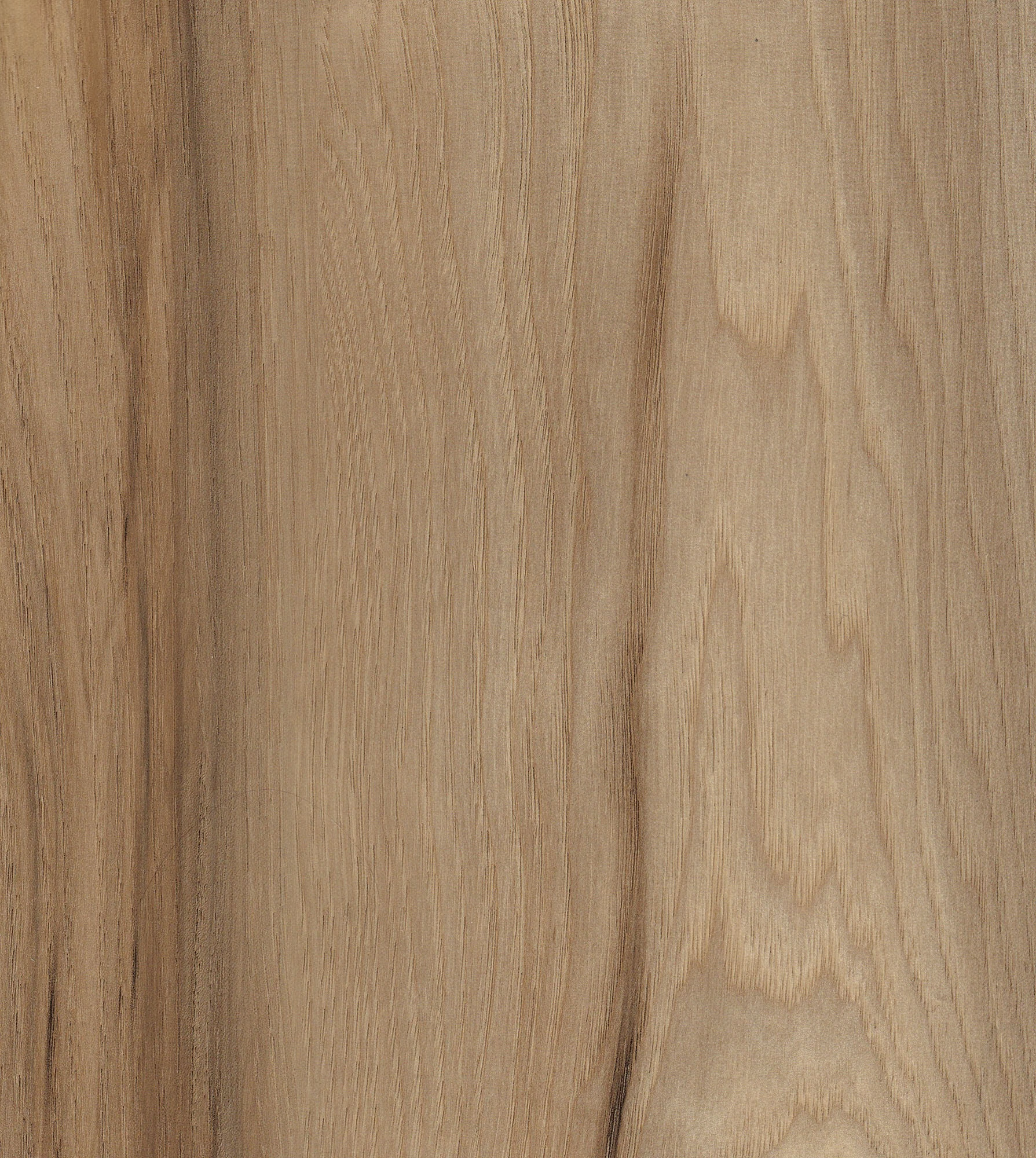 Easy Floor 55 SPC Vinyl Vermont Maple