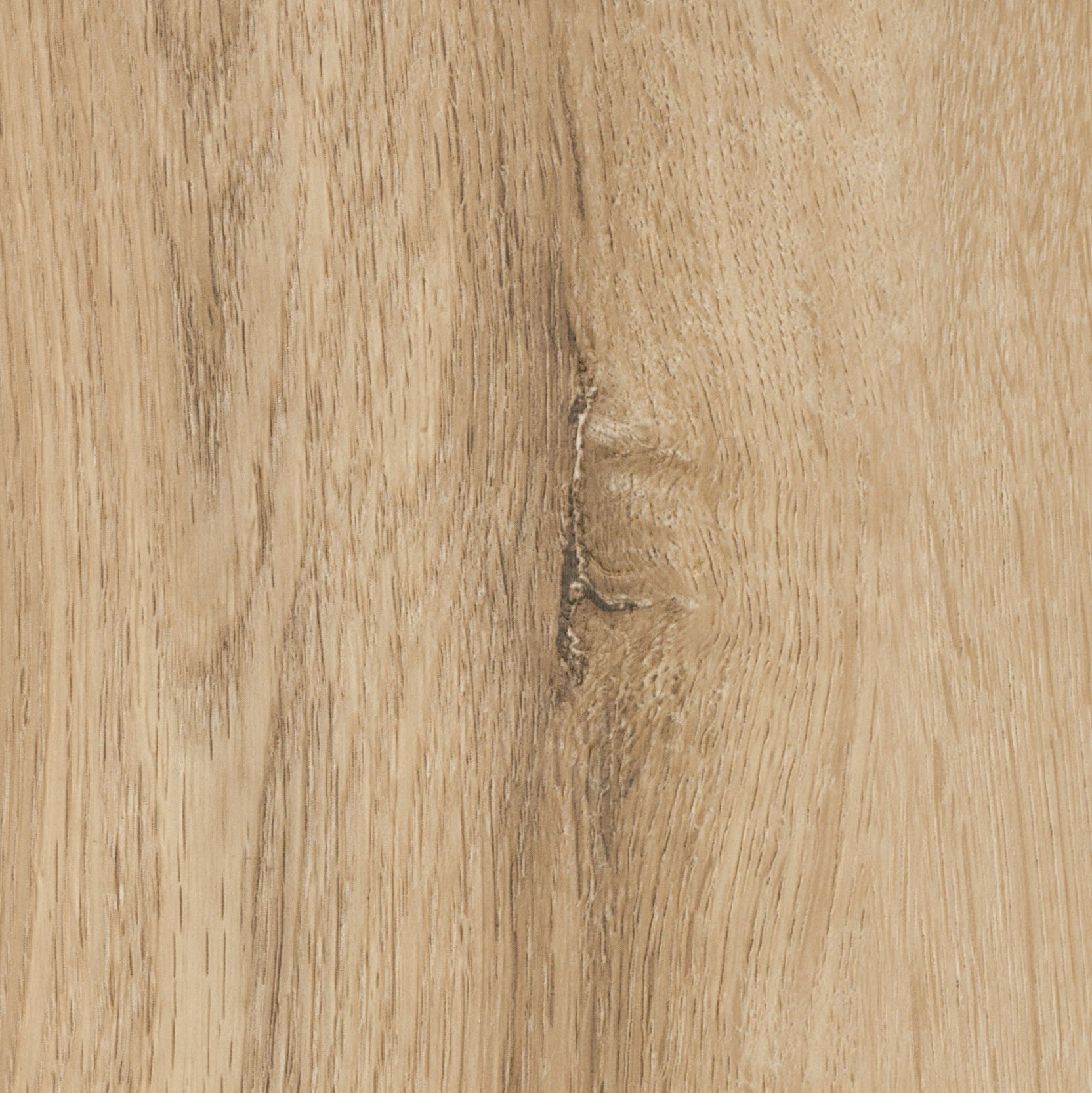 Timeless 50 SPC Vinyl Natural Maple