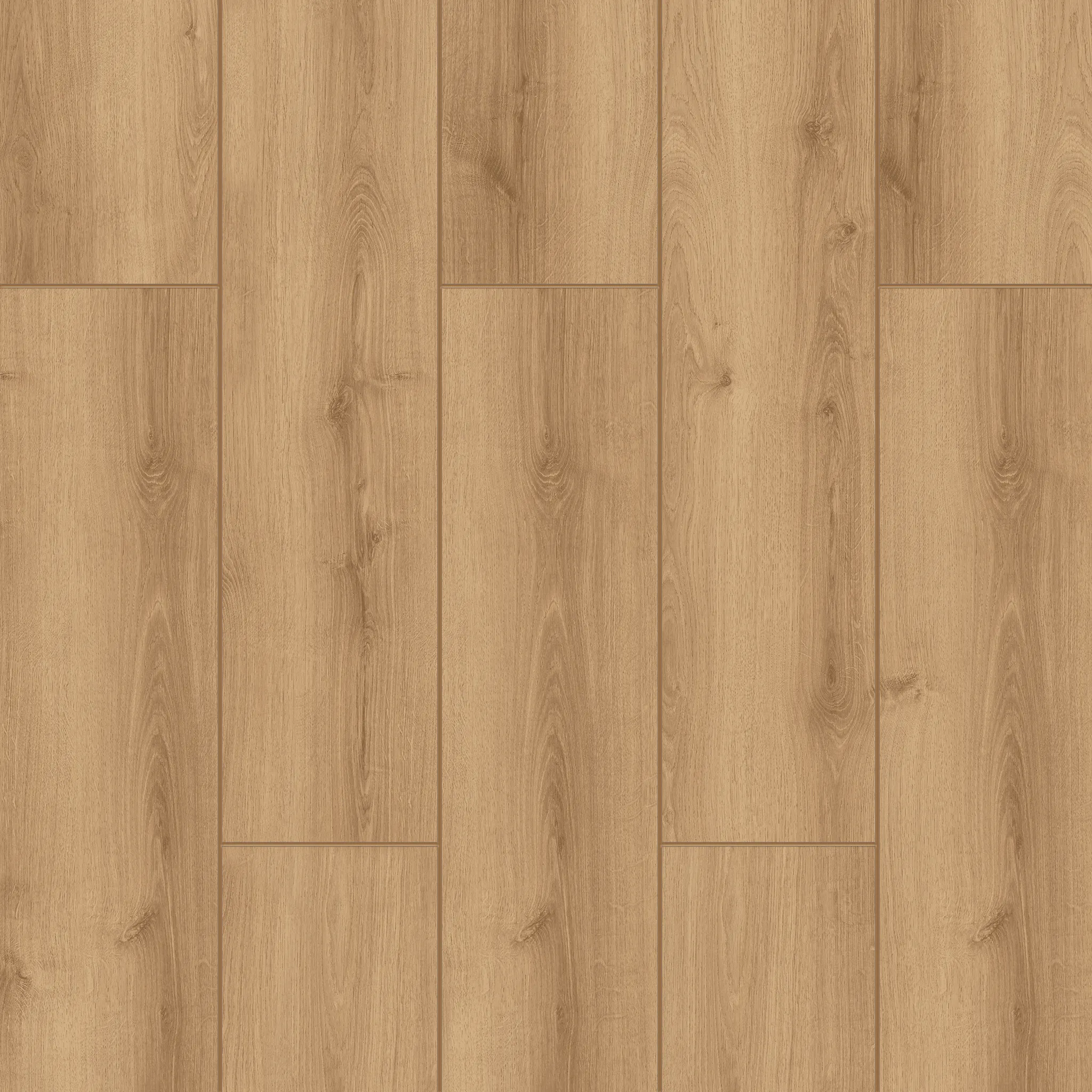 Acar Oak