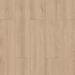 Belgrad Oak